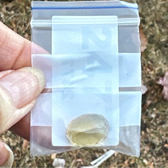 TOP GRADE master cut 11.60 Cts Top class Natural Citrine gemstone - Picture 10 of 16